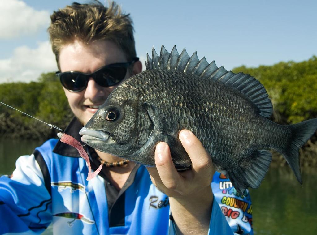 A typical northern snag-dwelling bream.  Note how the author has trimmed part of the plastic's body to make it more of a 